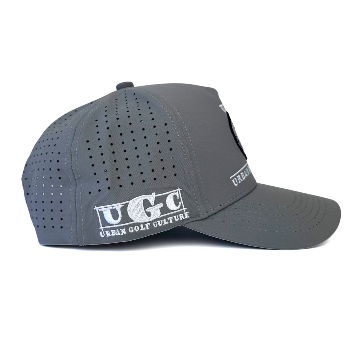 UGC Gray Signature Snapback